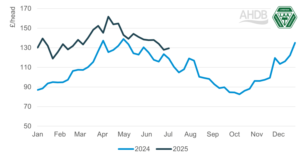 Chart showing weekly average cull ewe prices for England & Wales